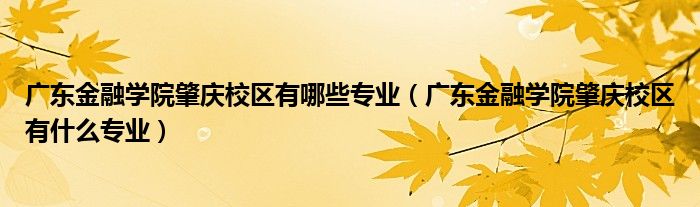广东金融学院肇庆校区有哪些专业(广东金融学院肇庆校区有什么专业)