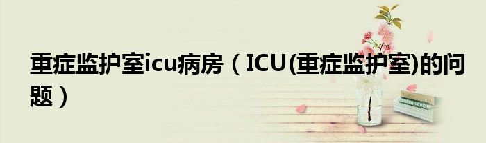 重症监护室icu病房(ICU(重症监护室)的问题)