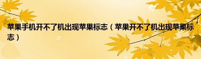 苹果手机开不了机出现苹果标志(苹果开不了机出现苹果标志)
