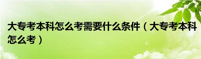 大专考本科怎么考需要什么条件(大专考本科怎么考)