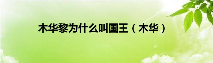 木华黎为什么叫国王（木华）