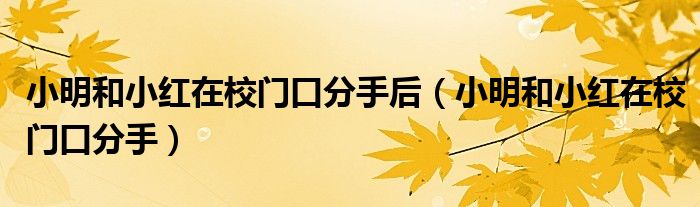 小明和小红在校门口分手后(小明和小红在校门口分手)