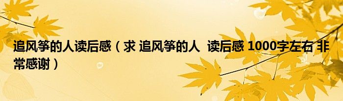 追风筝的人读后感(求 追风筝的人 读后感 1000字左右 非常感谢)
