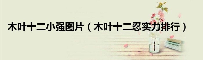 木叶十二小强图片(木叶十二忍实力排行)