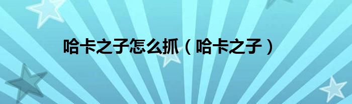 哈卡之子怎么抓(哈卡之子)