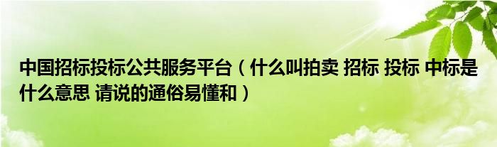 中国招标投标公共服务平台(什么叫拍卖 招标 投标 中标是什么意思 请说的通俗易懂和)