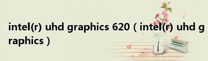intel(r) uhd graphics 620(intel(r) uhd graphics)