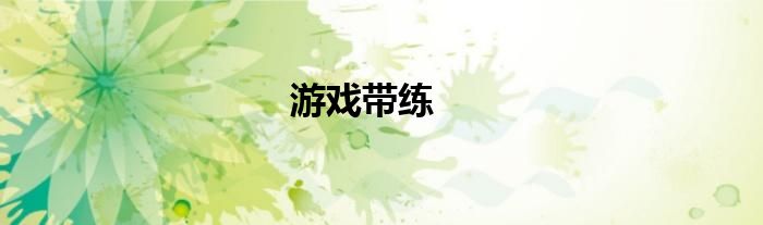 游戏带练