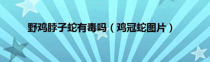 野鸡脖子蛇有毒吗(鸡冠蛇图片)