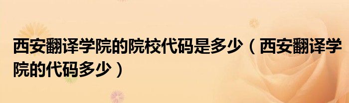 西安翻译学院的院校代码是多少(西安翻译学院的代码多少)