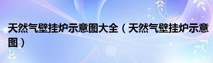 天然气壁挂炉示意图大全(天然气壁挂炉示意图)