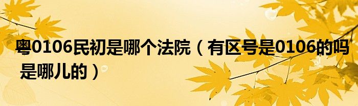 粤0106民初是哪个法院(有区号是0106的吗 是哪儿的)
