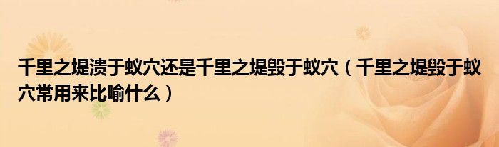 千里之堤溃于蚁穴还是千里之堤毁于蚁穴(千里之堤毁于蚁穴常用来比喻什么)