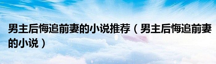 男主后悔追前妻的小说推荐(男主后悔追前妻的小说)