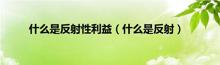 什么是反射性利益(什么是反射)