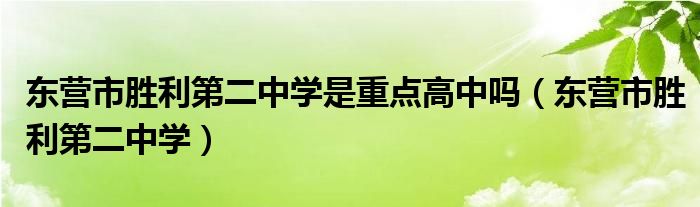 东营市胜利第二中学是重点高中吗(东营市胜利第二中学)