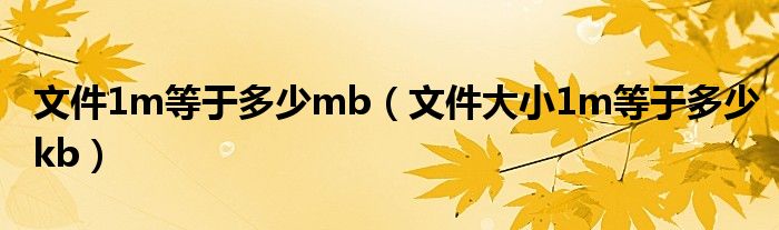 文件1m等于多少mb(文件大小1m等于多少kb)