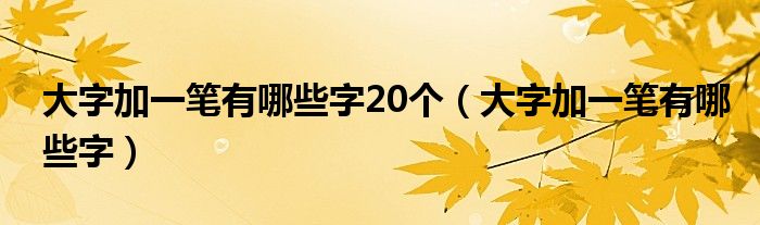 大字加一笔有哪些字20个(大字加一笔有哪些字)