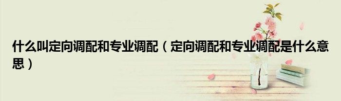 什么叫定向调配和专业调配(定向调配和专业调配是什么意思)