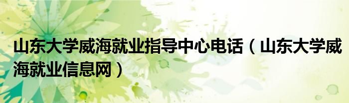 山东大学威海就业指导中心电话(山东大学威海就业信息网)