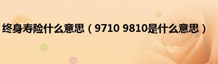 终身寿险什么意思(9710 9810是什么意思)