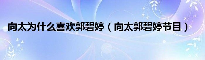 向太为什么喜欢郭碧婷(向太郭碧婷节目)