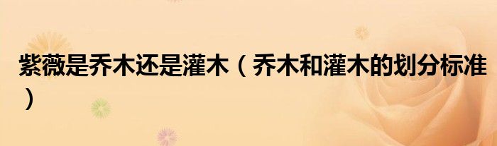 紫薇是乔木还是灌木(乔木和灌木的划分标准)