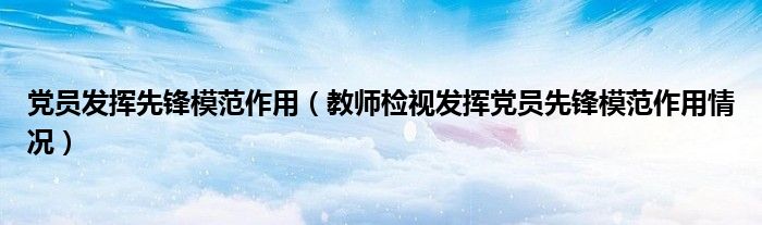 党员发挥先锋模范作用(教师检视发挥党员先锋模范作用情况)