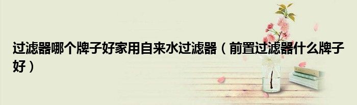 过滤器哪个牌子好家用自来水过滤器(前置过滤器什么牌子好)