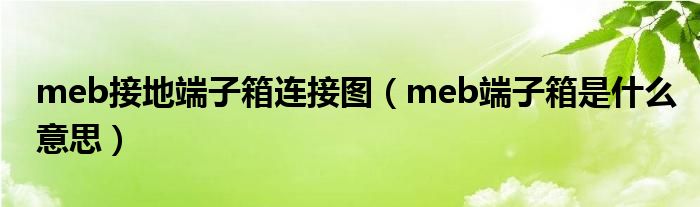 meb接地端子箱连接图(meb端子箱是什么意思)