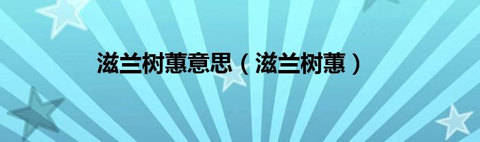 滋兰树蕙意思（滋兰树蕙）