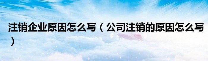 注销企业原因怎么写(公司注销的原因怎么写)