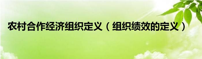 农村合作经济组织定义(组织绩效的定义)