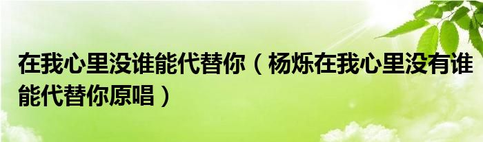 在我心里没谁能代替你(杨烁在我心里没有谁能代替你原唱)