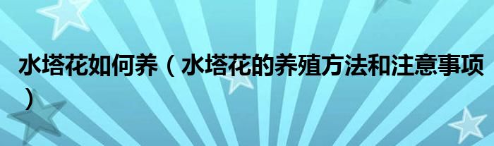 水塔花如何养(水塔花的养殖方法和注意事项)