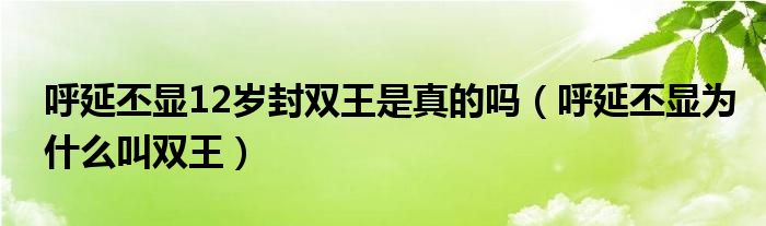 呼延丕显12岁封双王是真的吗(呼延丕显为什么叫双王)