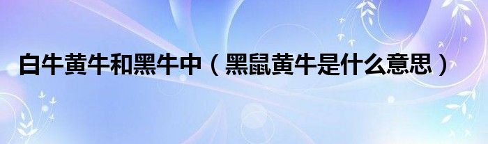 白牛黄牛和黑牛中(黑鼠黄牛是什么意思)