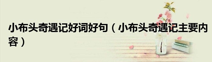 小布头奇遇记好词好句(小布头奇遇记主要内容)