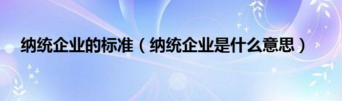 纳统企业的标准(纳统企业是什么意思)