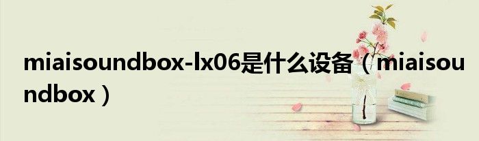 miaisoundbox-lx06是什么设备(miaisoundbox)