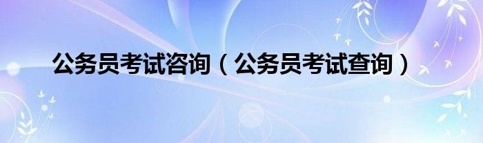 公务员考试咨询(公务员考试查询)