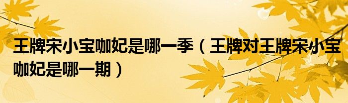 王牌宋小宝咖妃是哪一季(王牌对王牌宋小宝咖妃是哪一期)