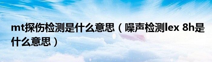 mt探伤检测是什么意思(噪声检测lex 8h是什么意思)