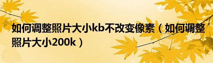 如何调整照片大小kb不改变像素(如何调整照片大小200k)
