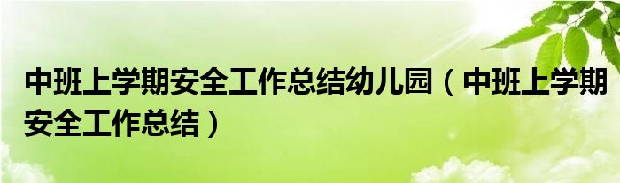 中班上学期安全工作总结幼儿园(中班上学期安全工作总结)