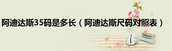 阿迪达斯35码是多长(阿迪达斯尺码对照表)