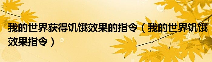 我的世界获得饥饿效果的指令(我的世界饥饿效果指令)