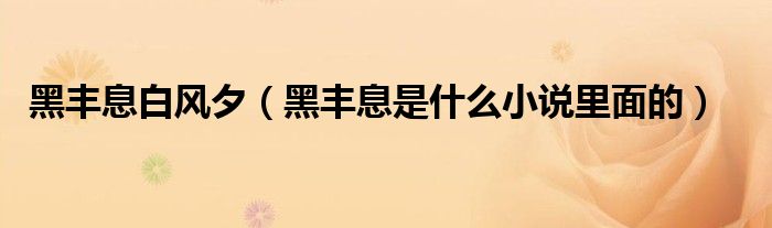 黑丰息白风夕(黑丰息是什么小说里面的)