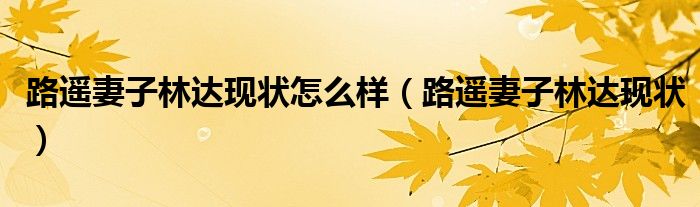 路遥妻子林达现状怎么样(路遥妻子林达现状)