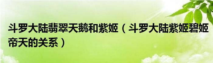 斗罗大陆翡翠天鹅和紫姬(斗罗大陆紫姬碧姬帝天的关系)